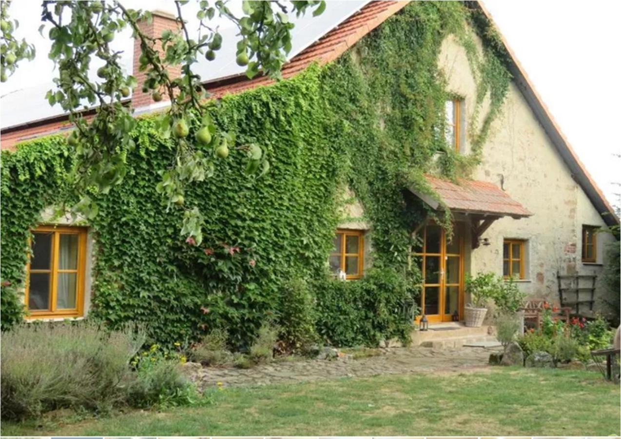 Haus Falkenhof Knüllwald Eksteriør bilde